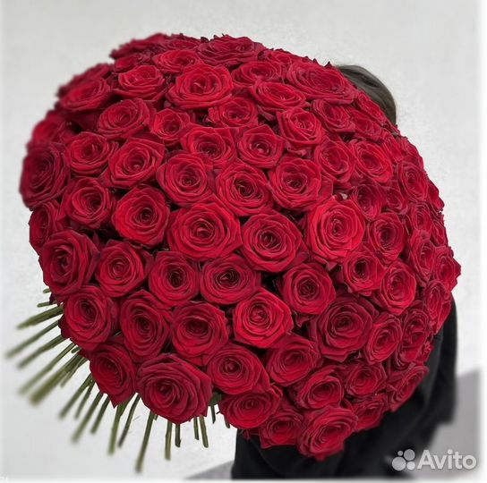 Розы Букет 101 51 35 25 Красные Белые Розы