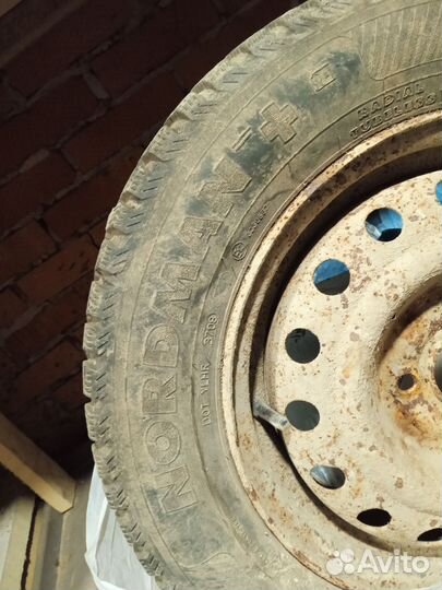 Nordman 5 175/70 R14