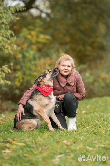 Собака в добрые руки