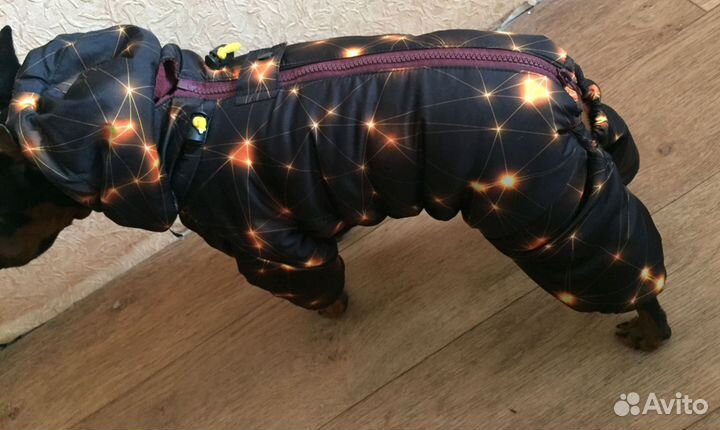 Зимний комбинезон для собак на цвергпинчера кобель