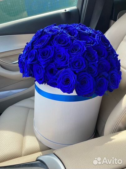 Синие розы голубые розы 101 роза 51 роза