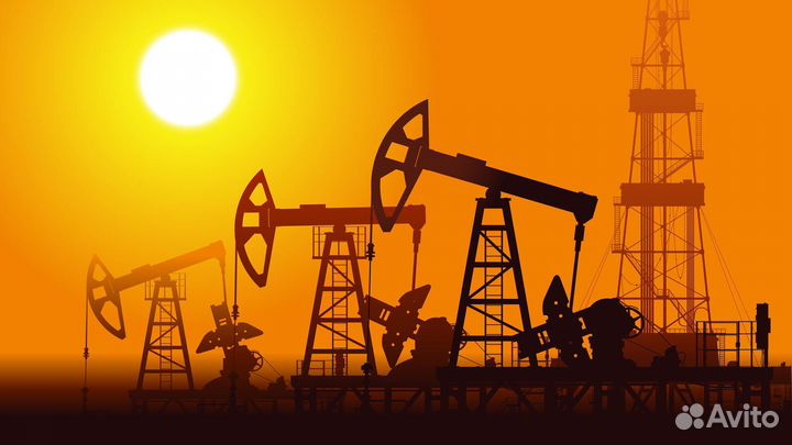 Бизнес консультации. Нефть, топливо, нпз, АЗС