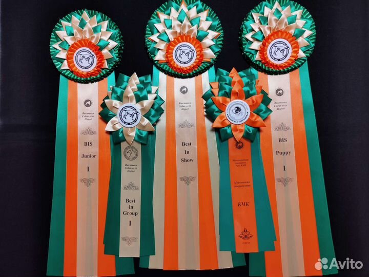 Наградные розетки для выставок