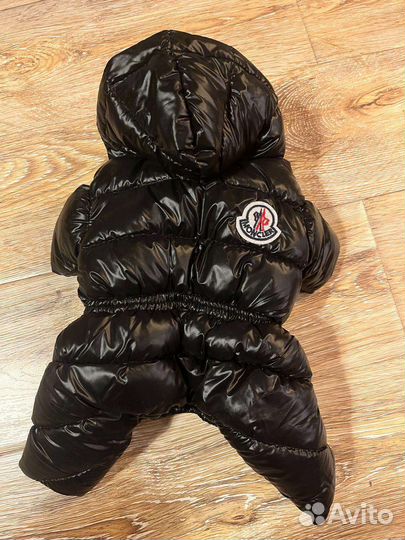 Комбинезон для собаки