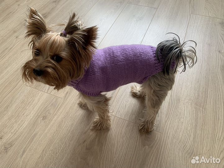 Одежда для маленьких собак