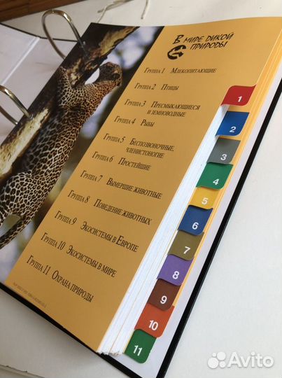 Книги о животных