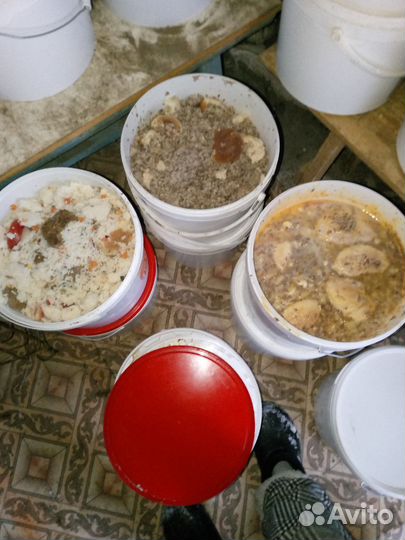 Пищевые отходы для животных