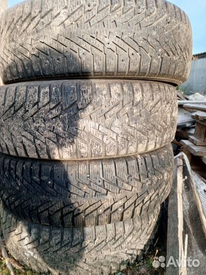 Amtel NordMaster Evo 195/65 R15 51C