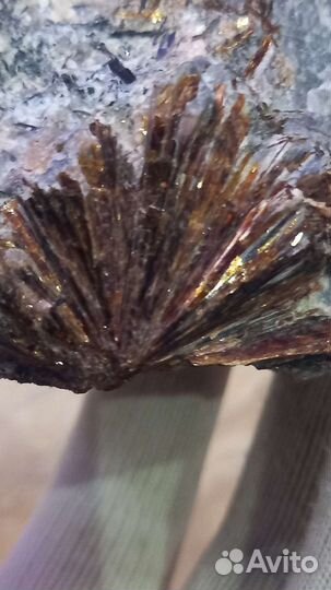 Астрофиллит