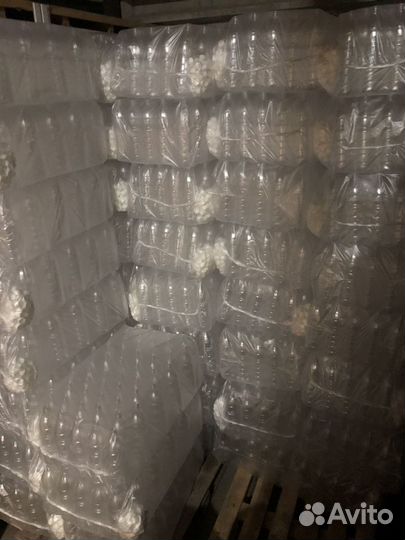 Пэт Бутылка