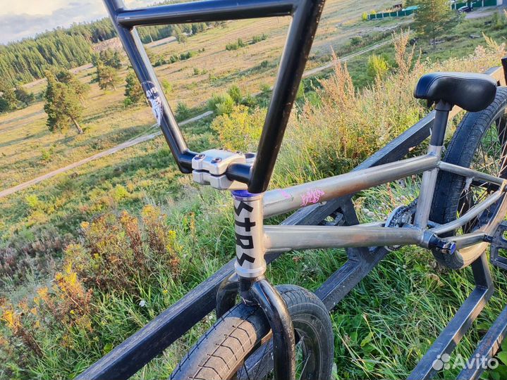 Bmx teach team grasshopper custom