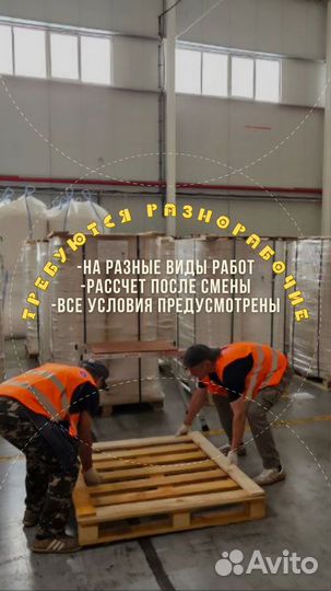 Разнорабочие