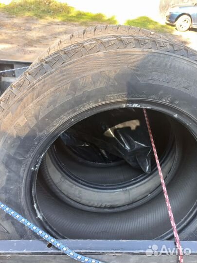 Bridgestone Blizzak DM-V2 225/65 R17 Q
