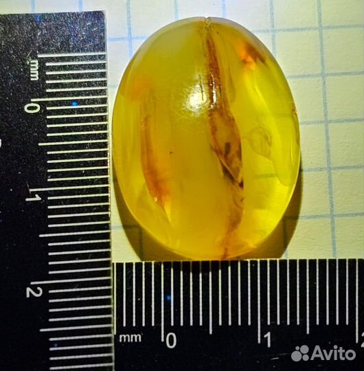 Янтарь (кабошон)