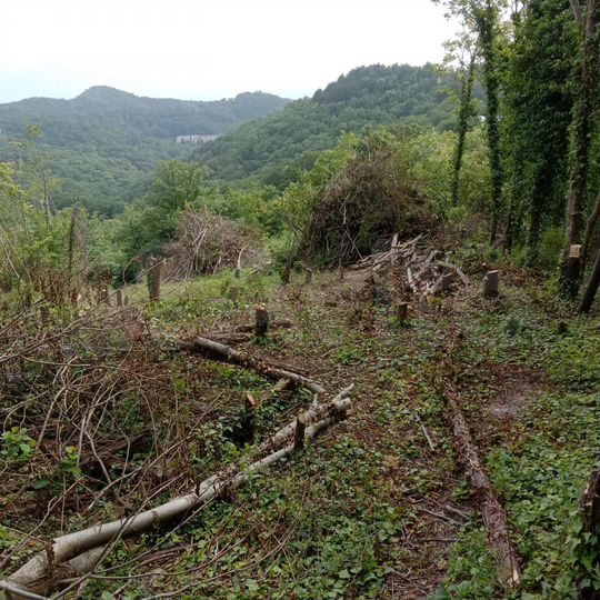 Участок 18 сот. (СНТ, ДНП)