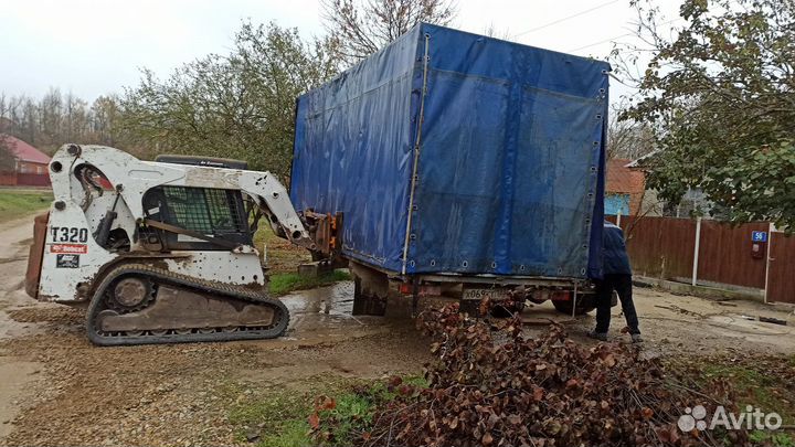 Гусеничный бобкэт