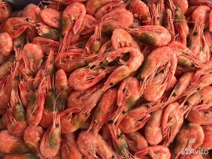 Креветки северные Мурманск, сухая заморозка