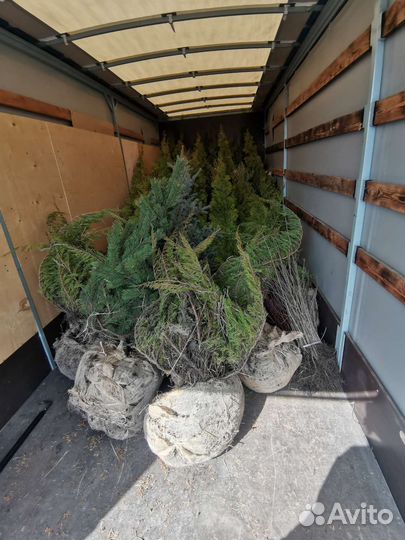 Грузоперевозки 36 межгород 6 метров