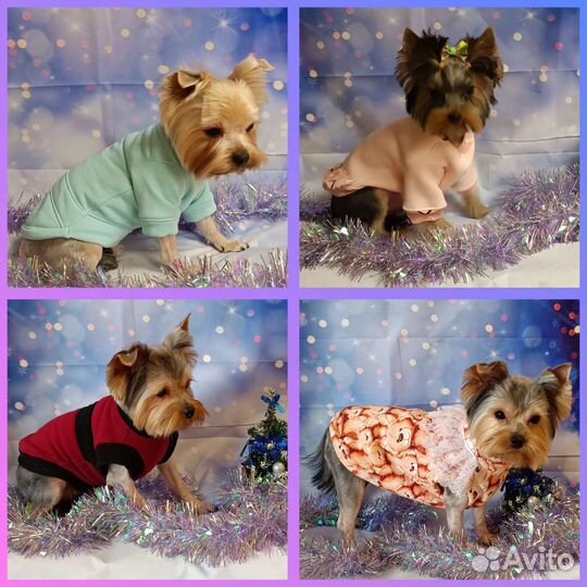 Одежда, обувь для собак,кофточки, футболки, платья