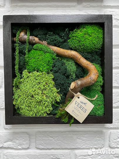 Фито картина