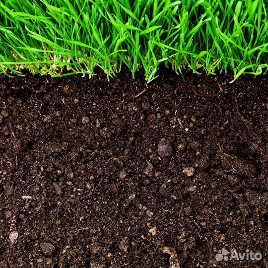 Земля плодородная, чернозем