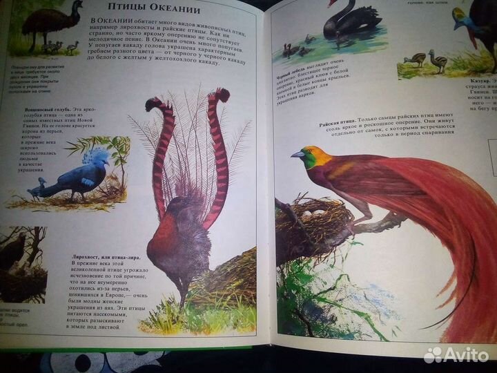 Книги о животных и растениях