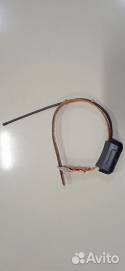 Ошейник garmin DC 40