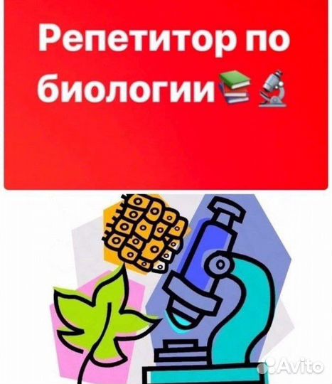 Репетитор по биологии и химии ОГЭ