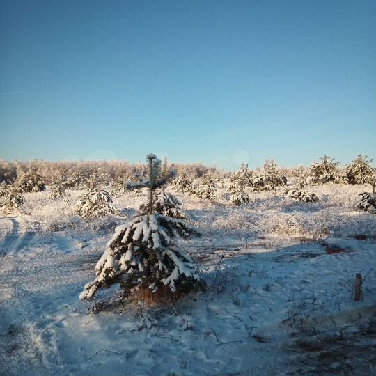 Участок 6,7 сот. (ИЖС)