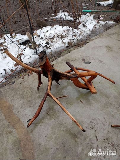 Коряжка для аквариума, рыбки