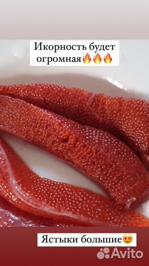 Форель с икрой