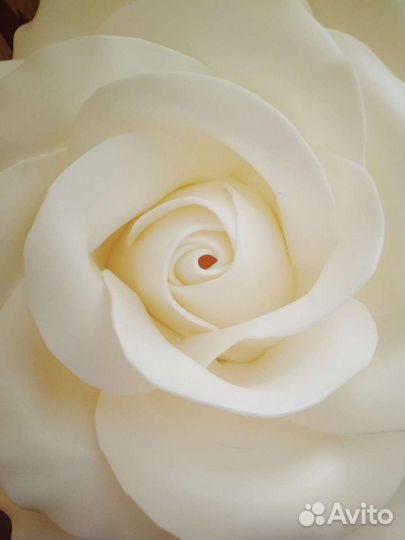 Декоративная роза