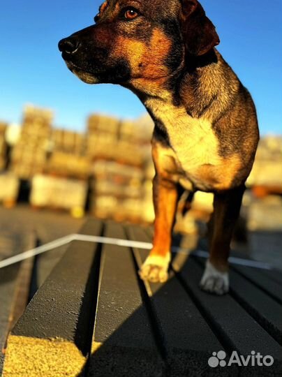 Тротуарная плитка с завода заказ от 120 м2