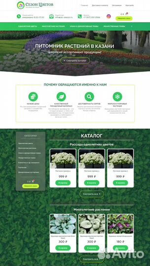 Создание сайтов в Казани