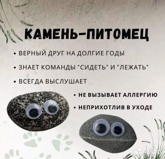 Камень питомец