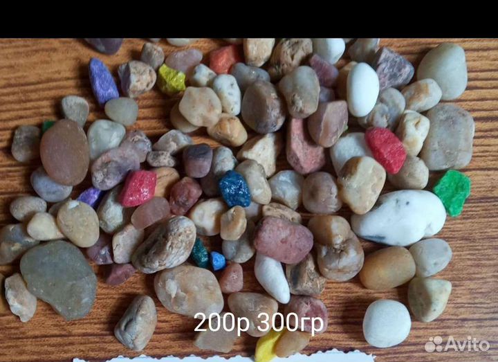 Ракушки и камешкиЧерноморские