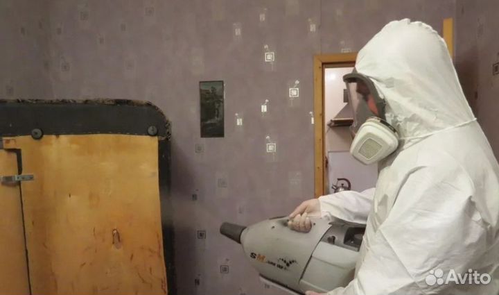 Уничтожение тараканов/клопов/Дезинсекция