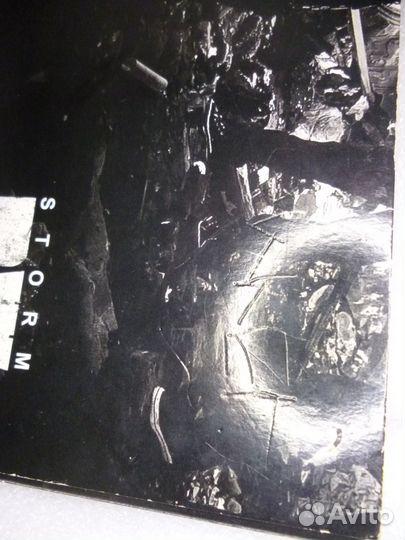 Лицуха brainwashed storm 2013 cd