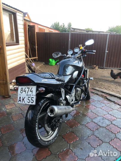 Suzuki bandit 250