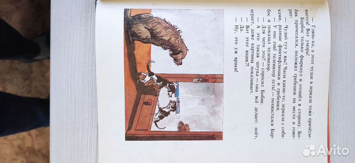 Красочные детские книги большого формата