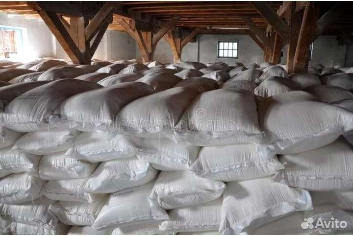 Куриный помет от 2022 года