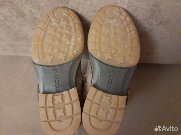 Ecco сапоги осень 30