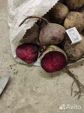 Всякая всячина