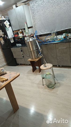 Веин реформ