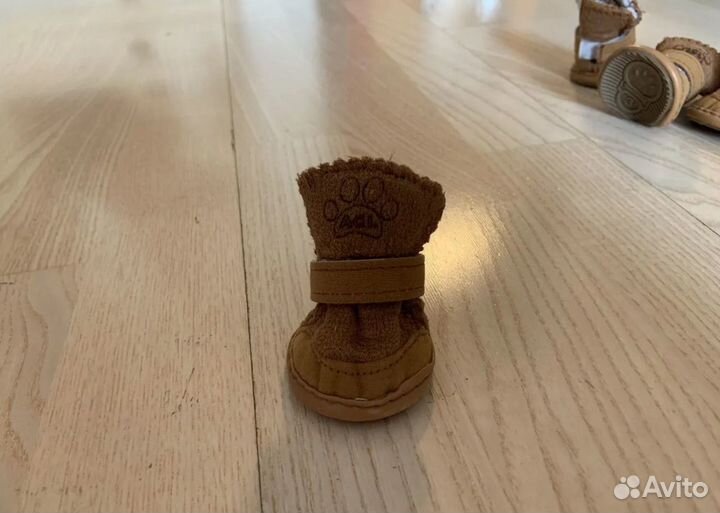 Ботинки для маленьких собак