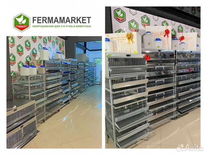 Клетки для перепелов Целина