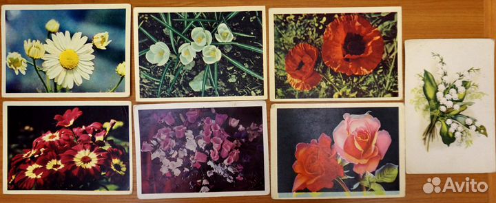 Открытки СССР цветочная тема