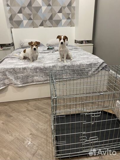 Клетка для собак M