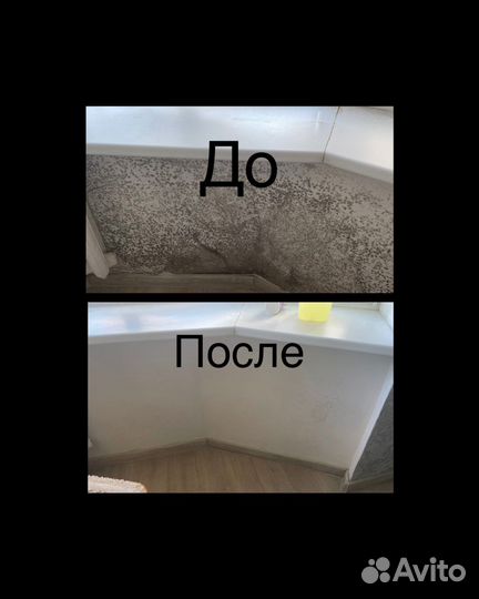 Жидкость против плесени