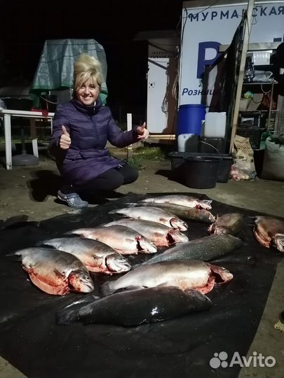 Рыбалка в Карелии Койонсаари